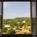 La Casa Di Nonno Ciccito モードロ